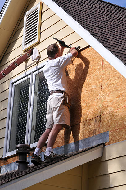 Best Wood Siding Installation  in Rantoul, IL